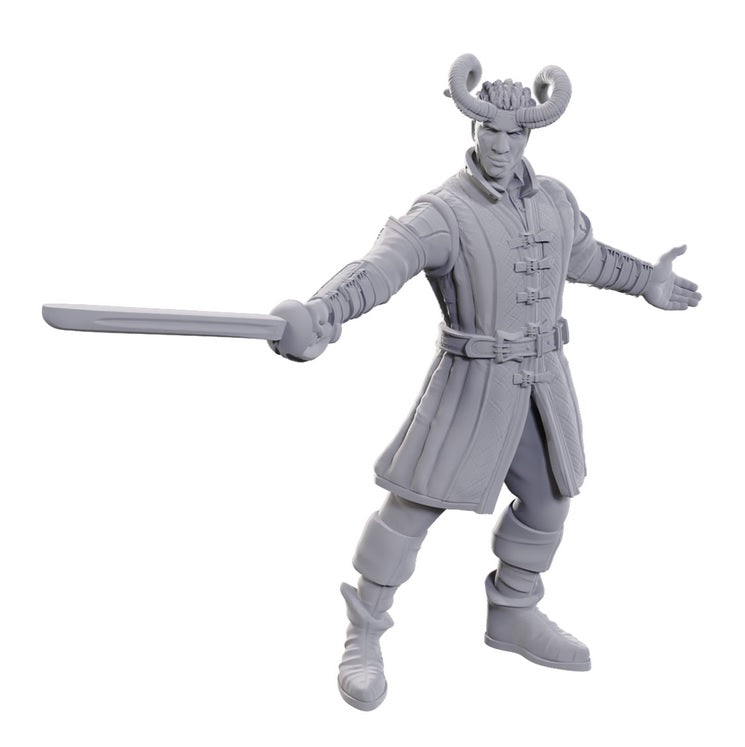 Dungeons & Dragons: Nolzur's Marvelous Unpainted Miniatures - Special Edition Baldur's Gate 3 Wyll & Karlach