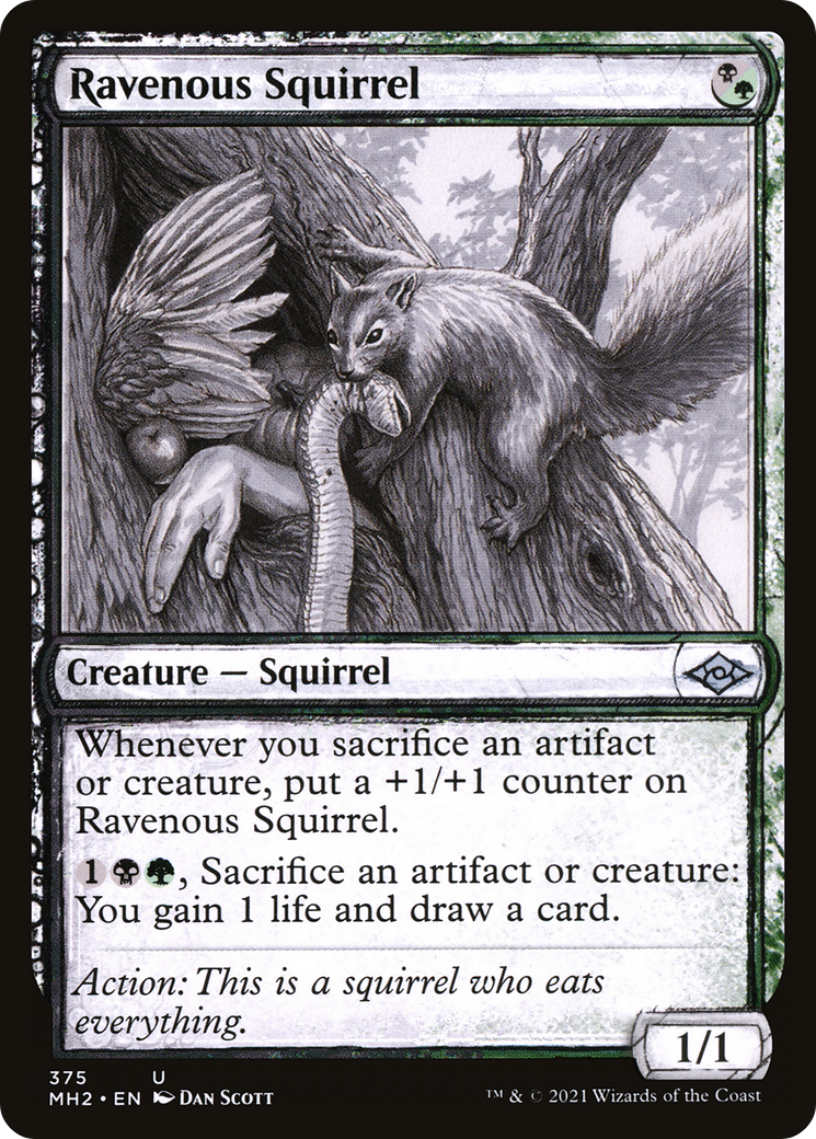 Ravenous Squirrel (Sketch) [Modern Horizons 2]