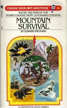 Choose Your Own Adventure Book: Mountain Survival