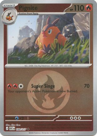 Pignite (Energy Symbol Pattern) (030/217) - Reverse Holofoil ME Ascended Heroes - Uncommon