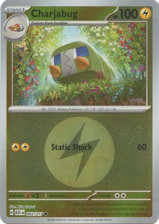 Charjabug (Energy Symbol Pattern) (065) - Reverse Holofoil ME Ascended Heroes - Common