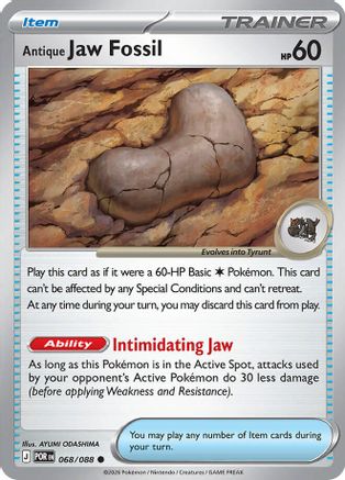 Antique Jaw Fossil (068) ME03 Perfect Order - Common