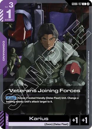 Veterans Joining Forces (GD06-117) - Stardust Trails