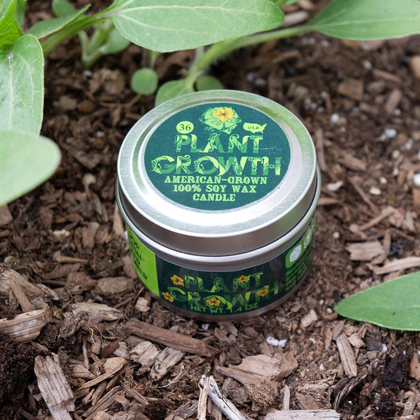 Game Master Dice Candle - Plant Growth (1.4 oz.)