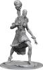 Wizkids Nolzur's Marvelous Miniatures: W19 Stone Giant
