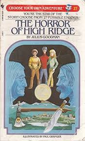 Choose Your Own Adventure Book: The Horror of High Ridge