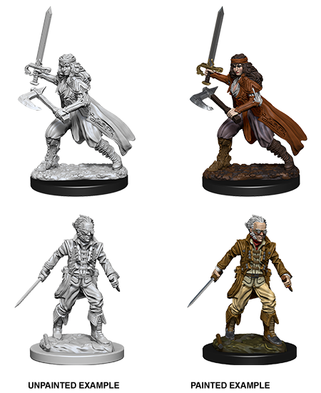 Wizkids Nolzur's Marvelous Miniatures: Vampire Hunters
