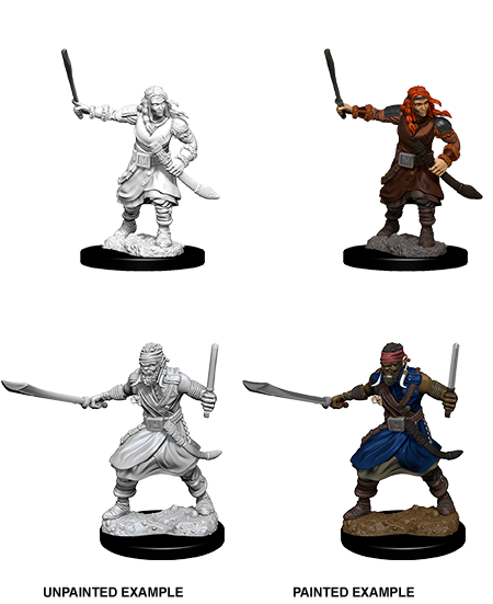 Wizkids Nolzur's Marvelous Miniatures: Bandits