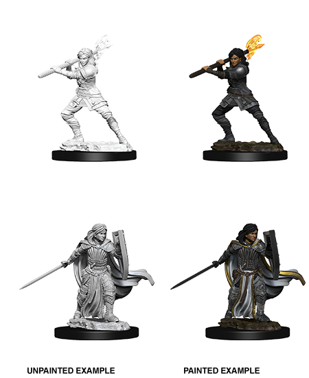 Wizkids Nolzur's Marvelous Miniatures: Human Paladin