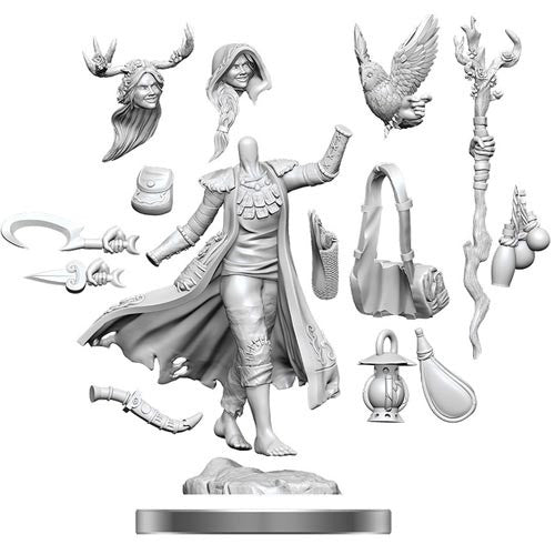 Wizkids Dungeons & Dragons Frameworks: Human Druid