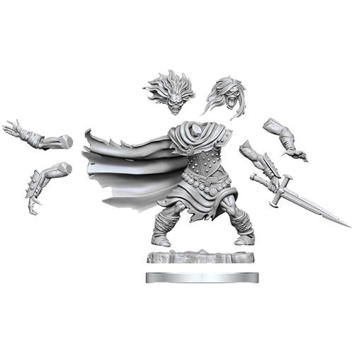 Wizkids Dungeons & Dragons Frameworks: Wight