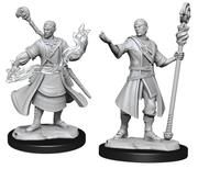 Wizkids Nolzur's Marvelous Miniatures: Half-Elf Wizard Male