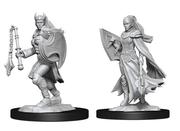 Wizkids Nolzur's Marvelous Miniatures: Kalashtar Cleric  Female