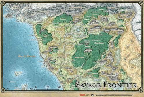 Dungeons and Dragons Game Mat: Savage Frontier