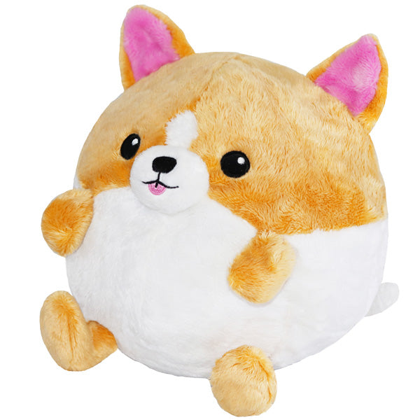 Squishable Undercover Corgi in Frog