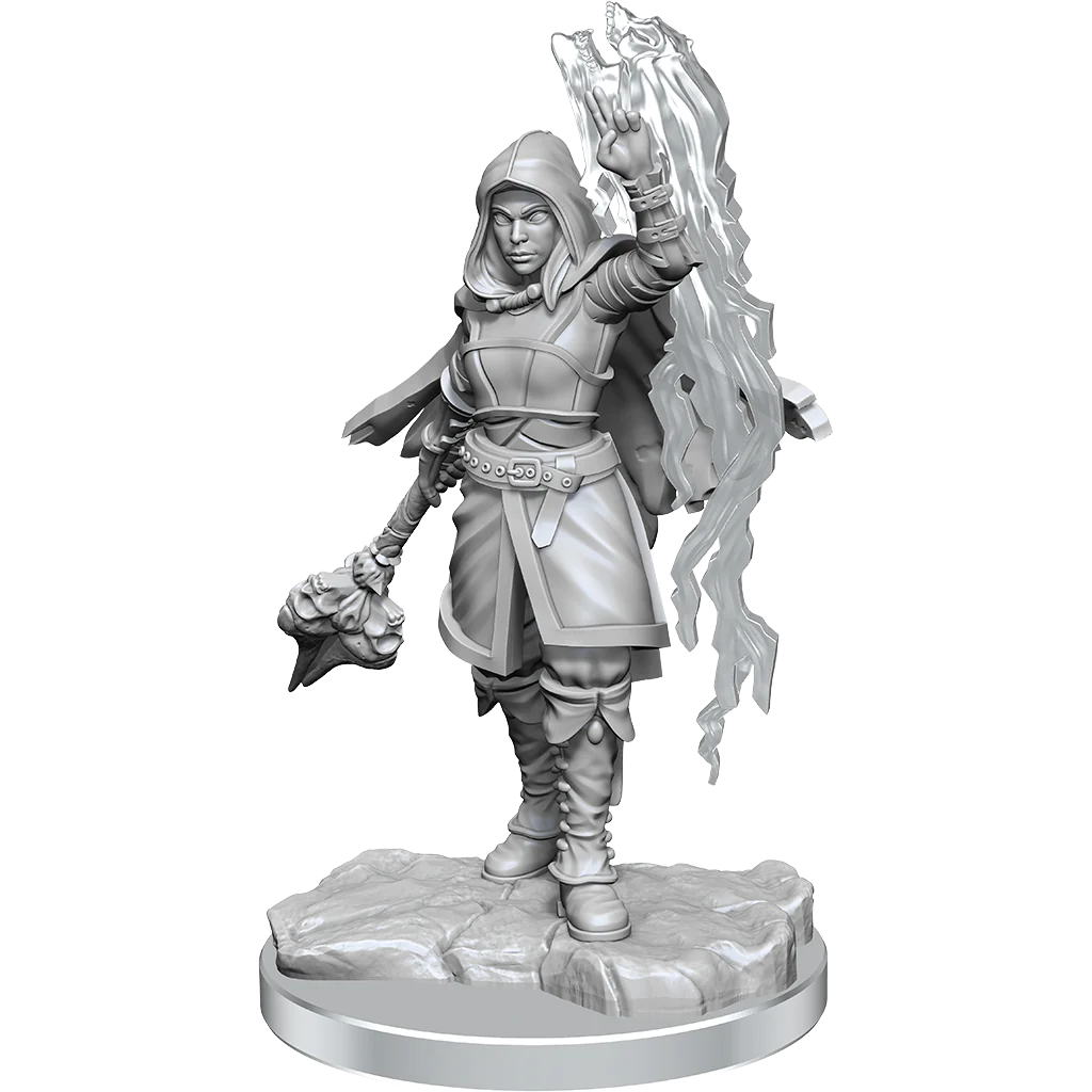 Wizkids Nolzur's Marvelous Miniatures: Half-Elf Warlock