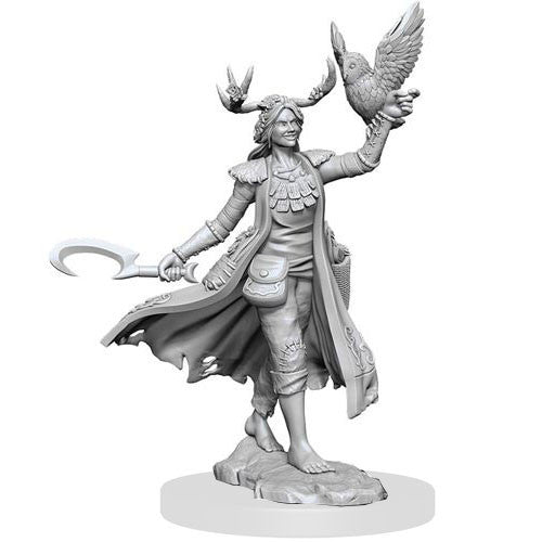 Wizkids Dungeons & Dragons Frameworks: Human Druid