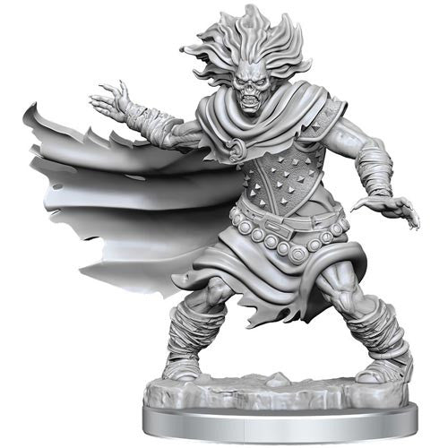 Wizkids Dungeons & Dragons Frameworks: Wight